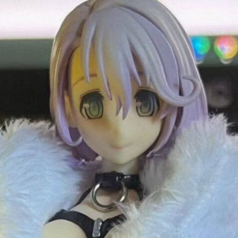 Poca disponibilità di scorte.  - Model Kit Waifu recensione e prezzo