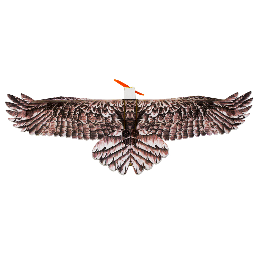 DW Hobby Eagle II EPP Aereo RC - Model Kit Motor recensione e prezzo